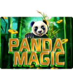 Panda Magic